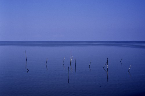 sea03.jpg